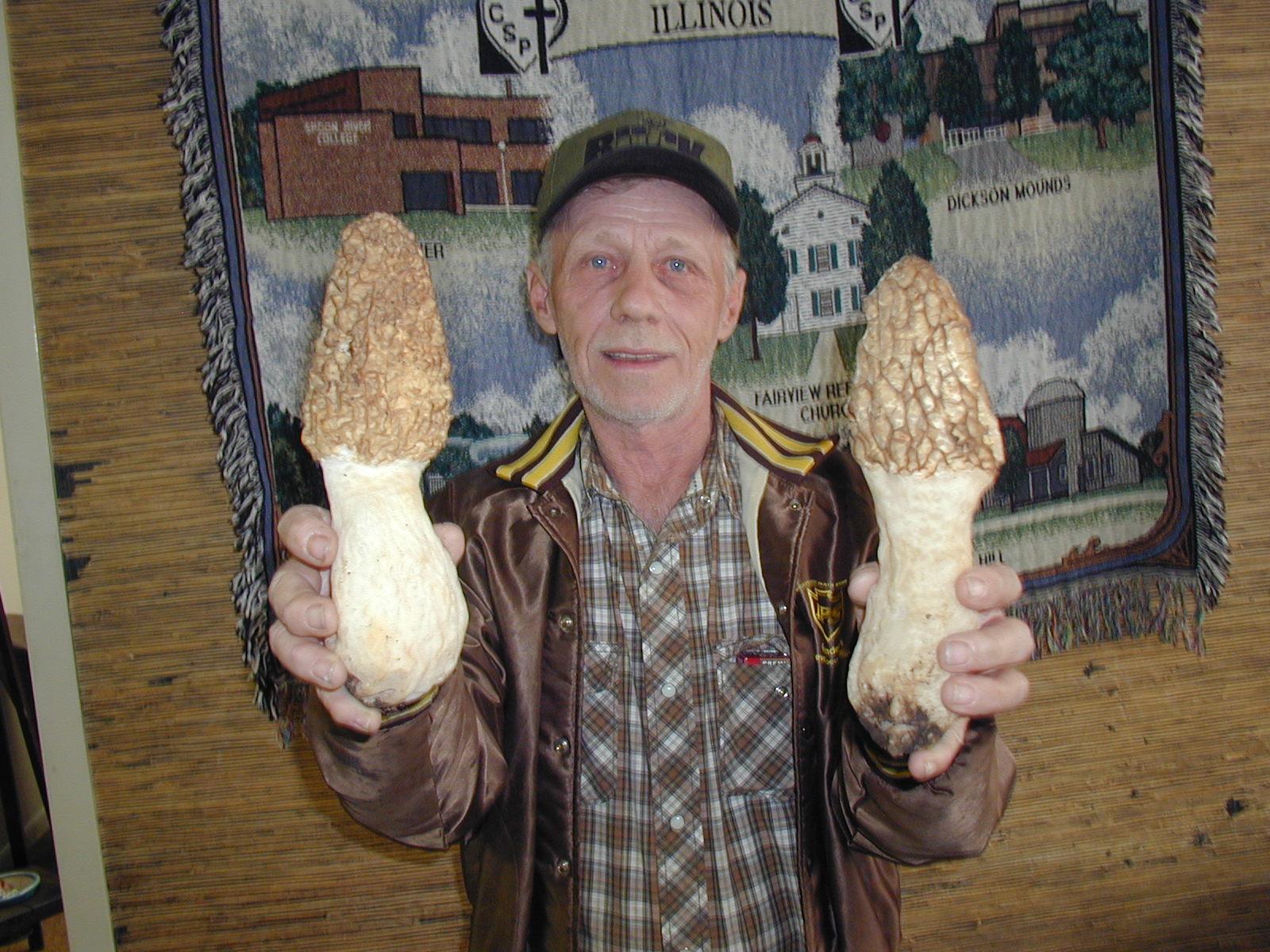 7 Fascinating Facts about the Biggest Morel Mushroom – Page 8