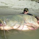9 Stunning Facts about the World’s Biggest Catfish Caught